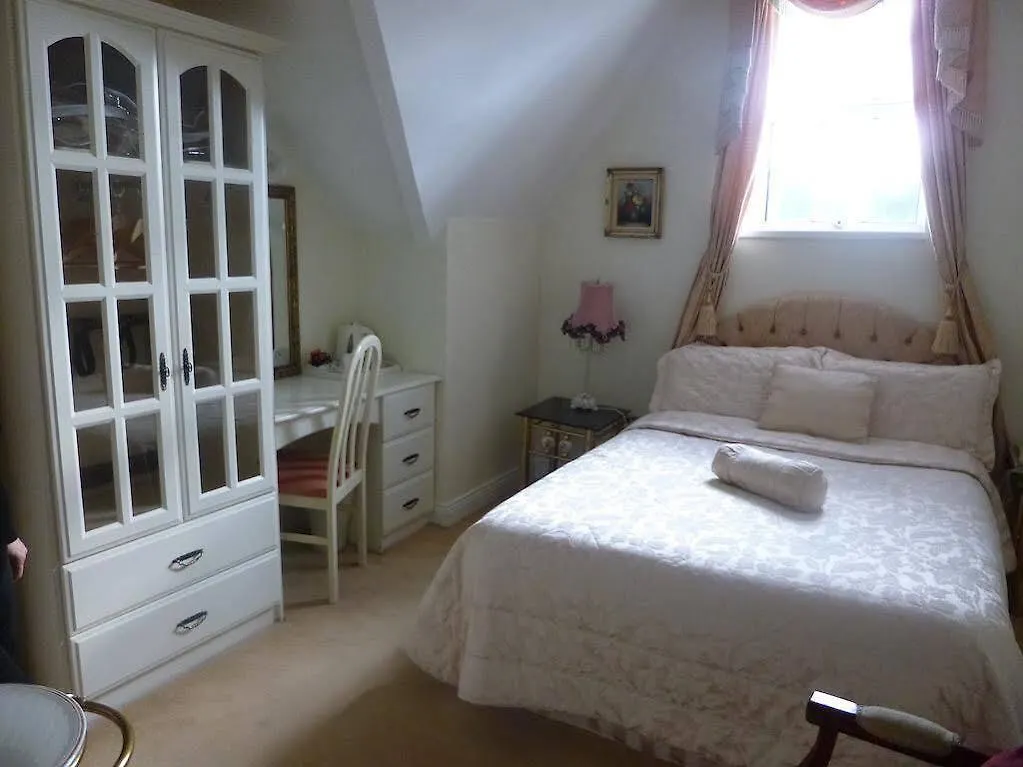 Gasthuis The Blarney Stone Guesthouse Cork